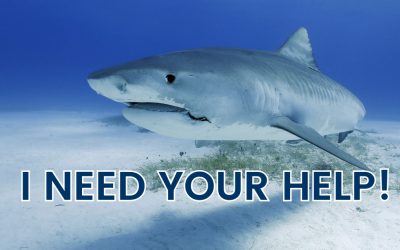 HELP NEEDED!